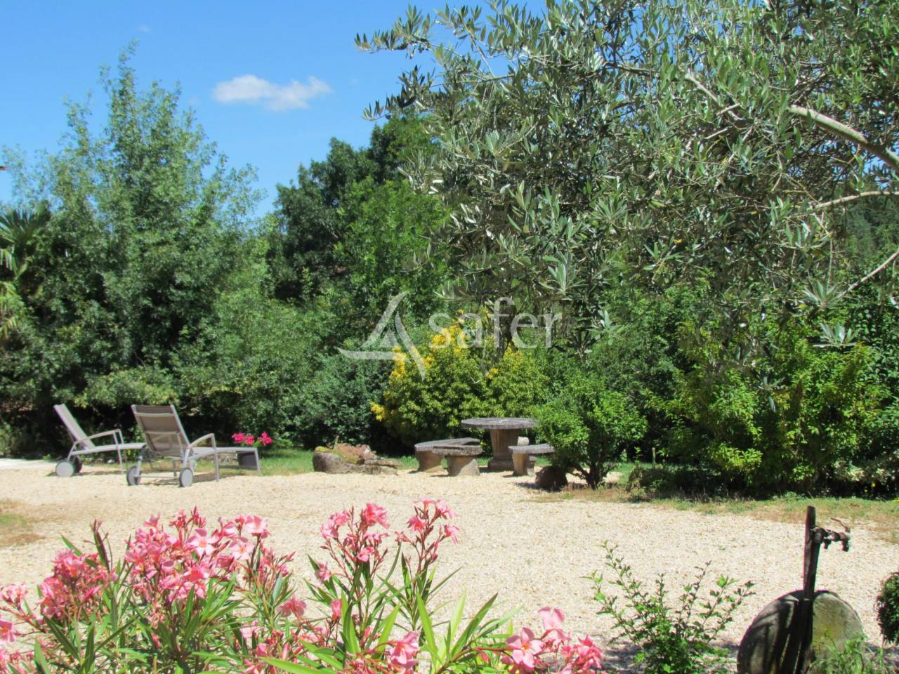 Proprietà rurale In vendita tarn