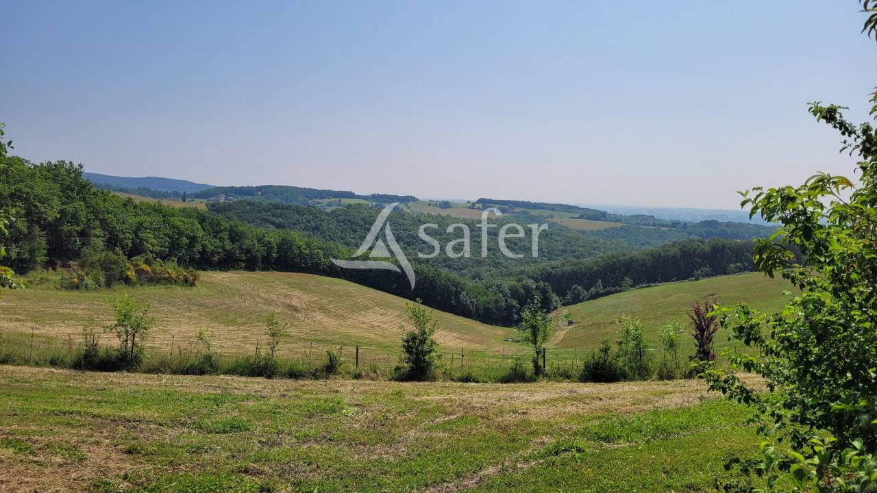 Proprietà rurale In vendita tarn