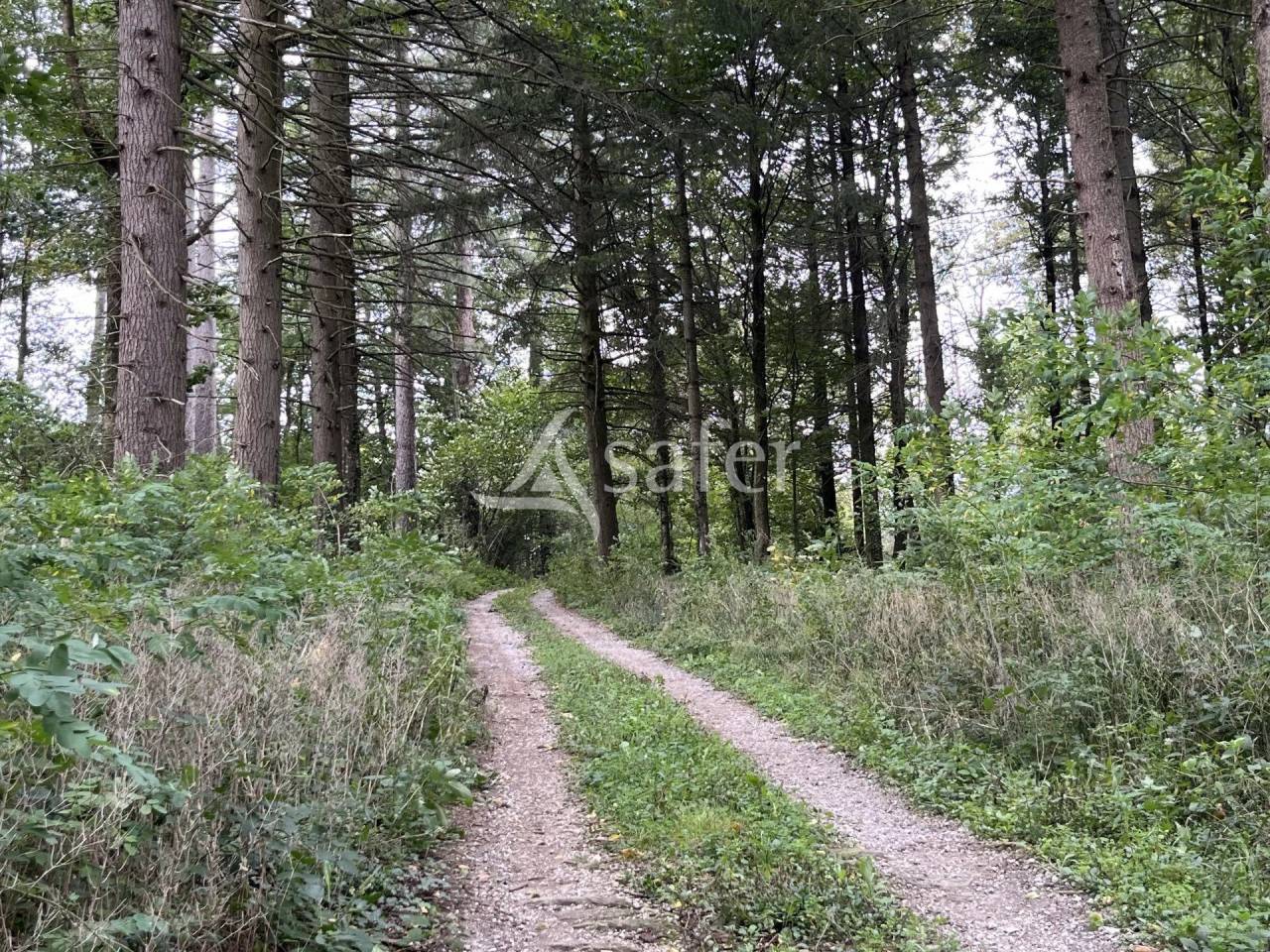 Proprietà rurale In vendita tarn