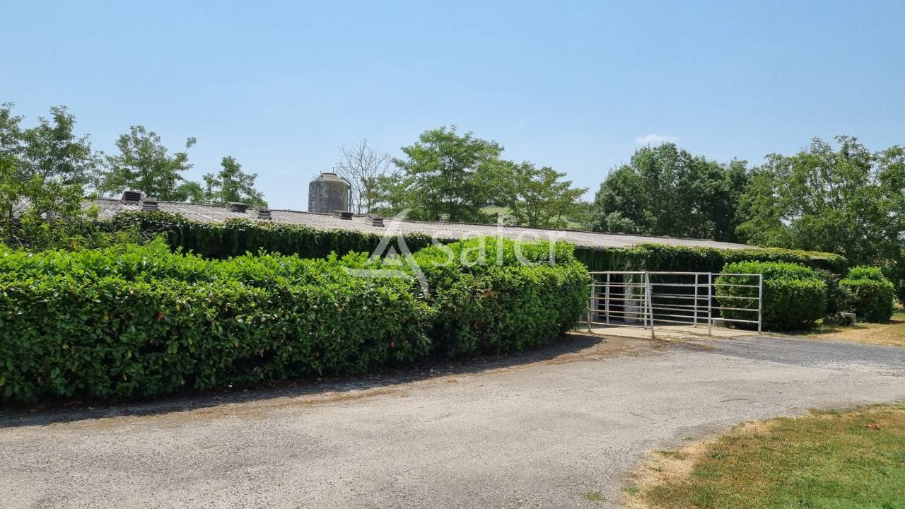 Proprietà rurale In vendita tarn