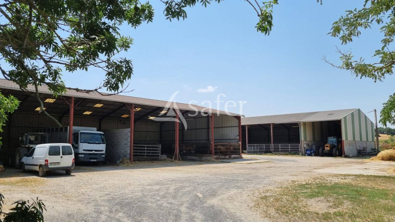 Proprietà rurale In vendita tarn