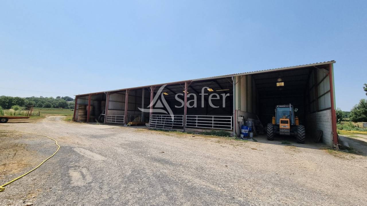 Proprietà rurale In vendita tarn