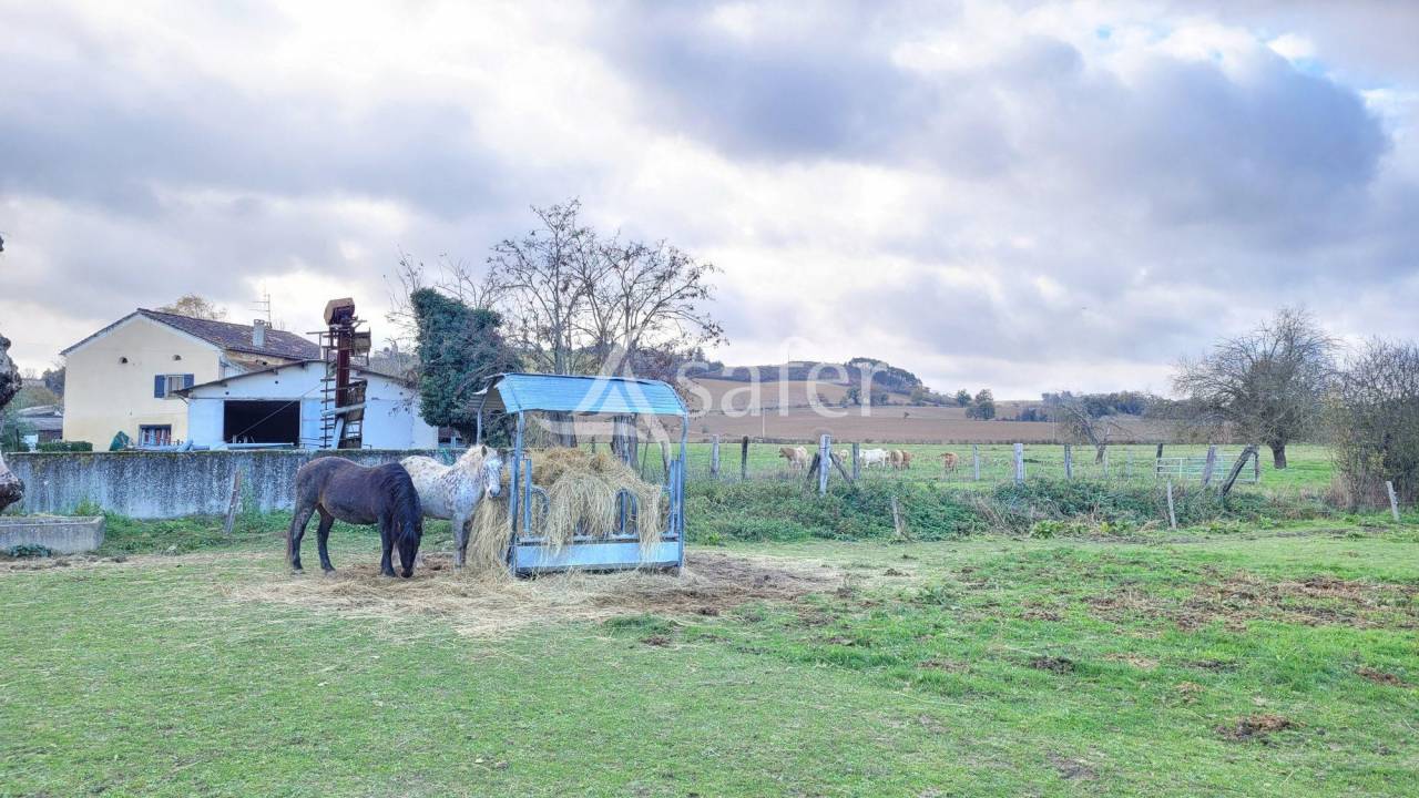 Proprietà rurale In vendita tarn