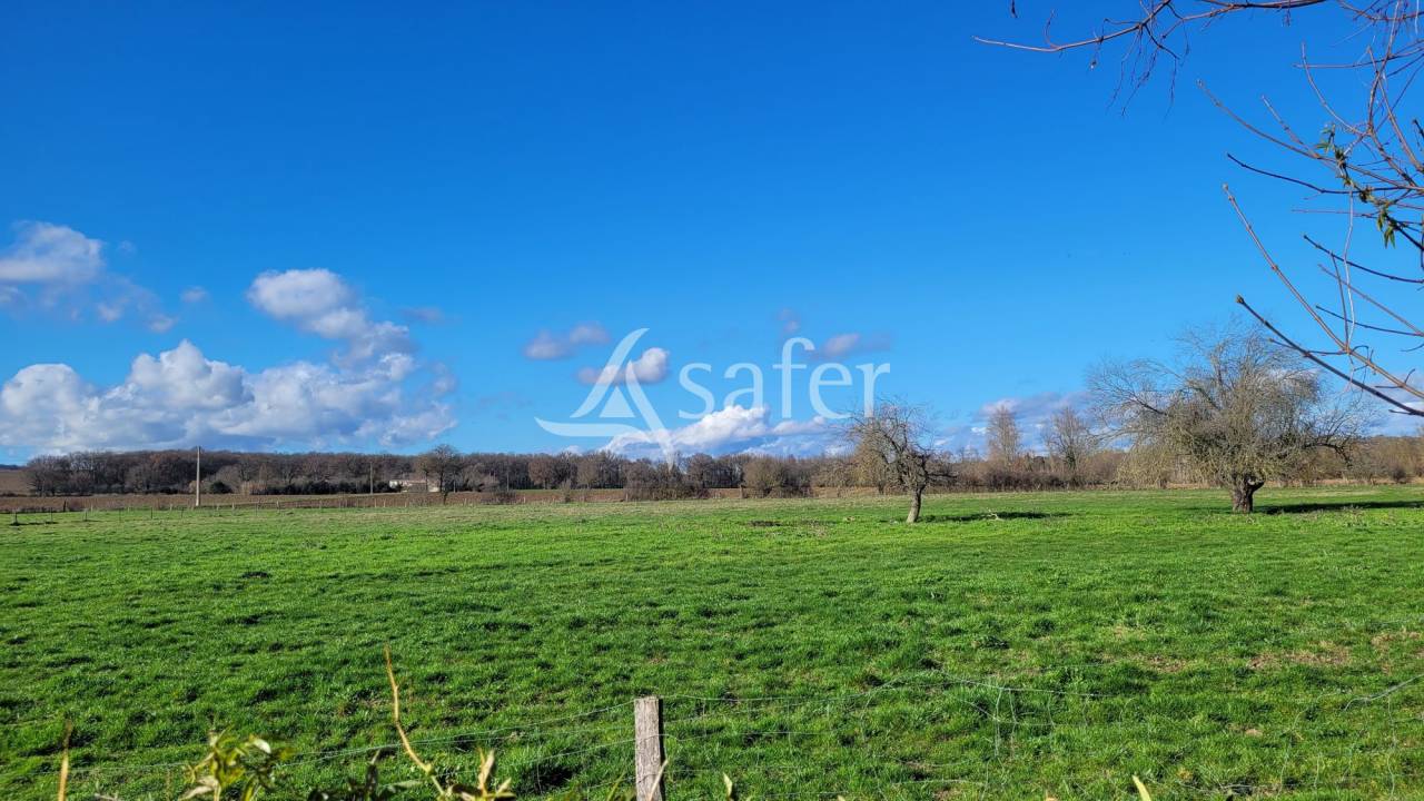 Propriet&agrave; rurale In vendita tarn