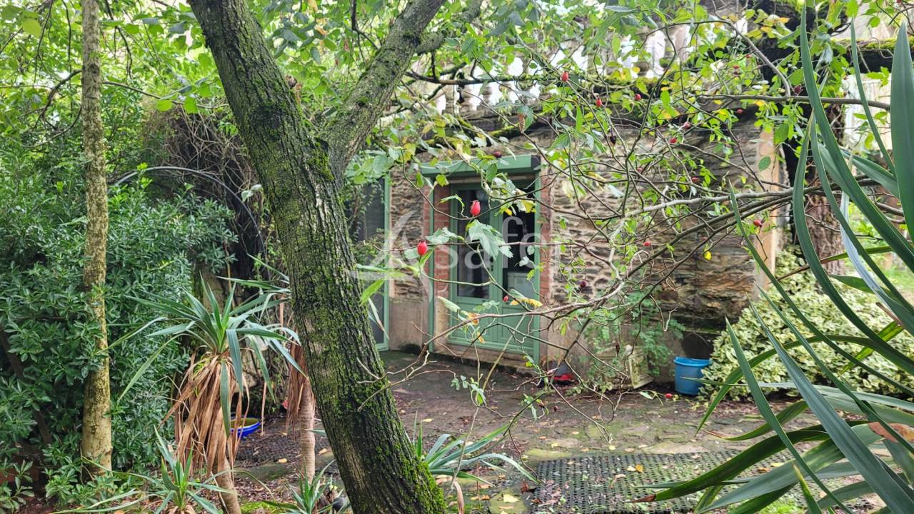 Proprietà rurale In vendita tarn