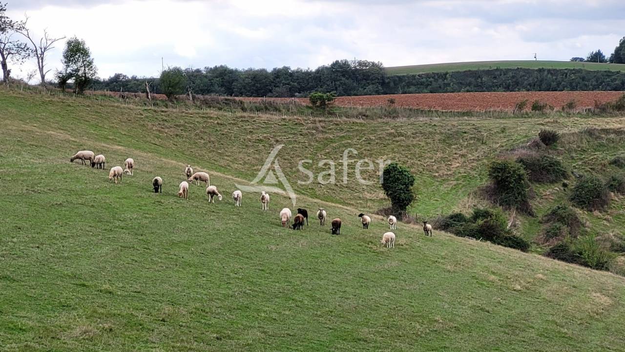 Proprietà rurale In vendita tarn