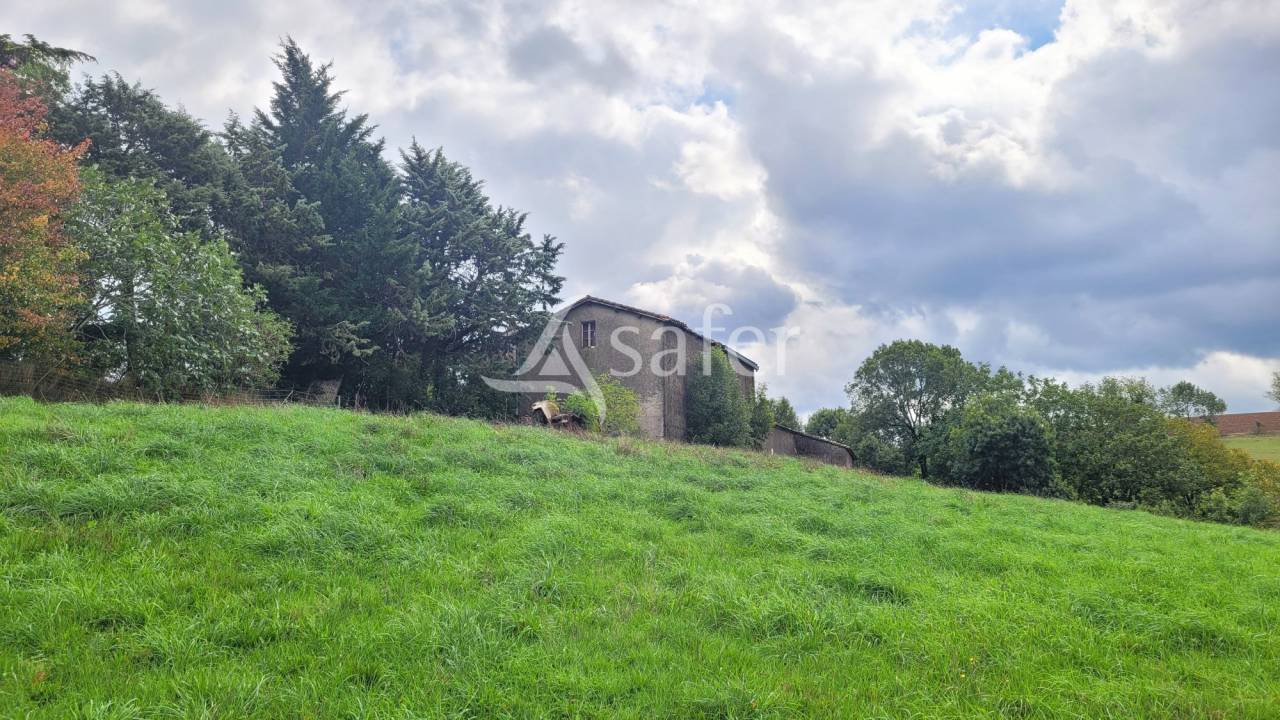 Propriet&agrave; rurale In vendita tarn