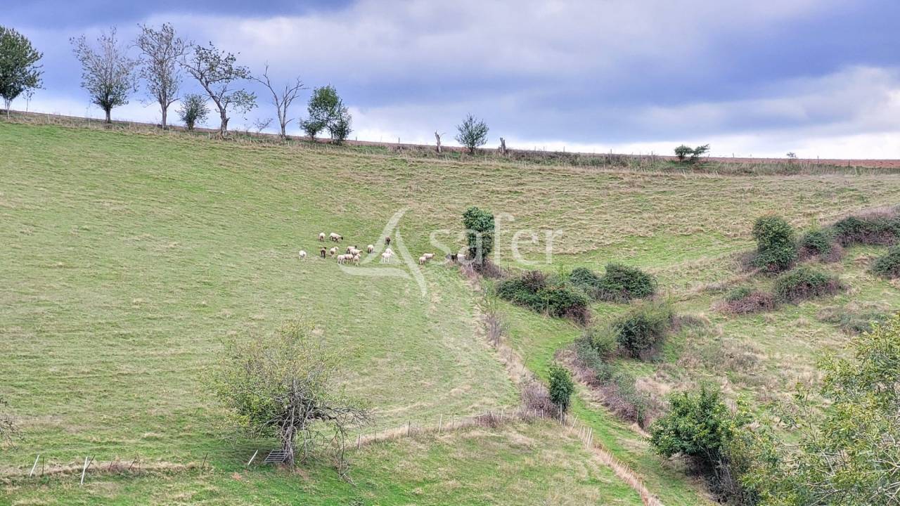 Propriet&agrave; rurale In vendita tarn