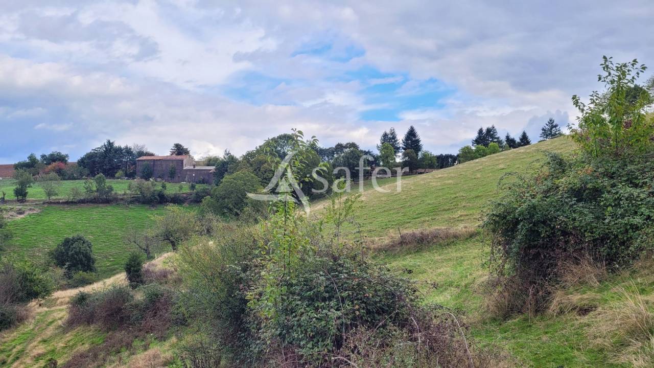 Propriet&agrave; rurale In vendita tarn