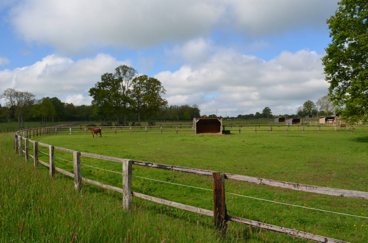 Centro di stagione cavallo In vendita Orne