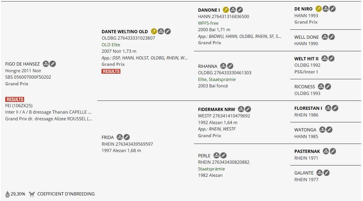 Intero AES Anglo European Studbook In vendita 2023 Baio scuro ,  Da vinci