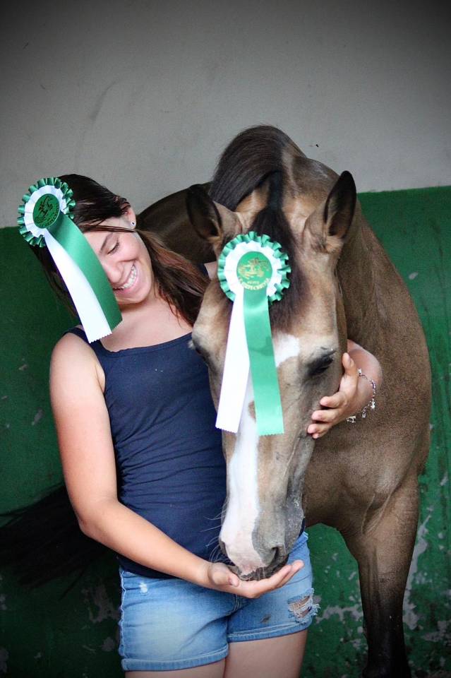 Cavalla PFS Pony Francese da Sella In vendita 2014 Baio