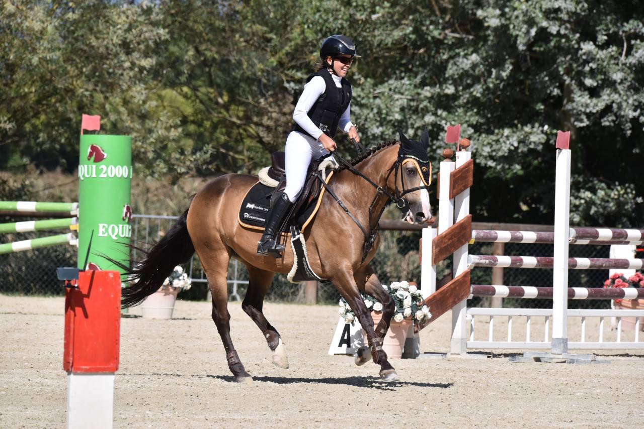 Cavalla PFS Pony Francese da Sella In vendita 2014 Baio