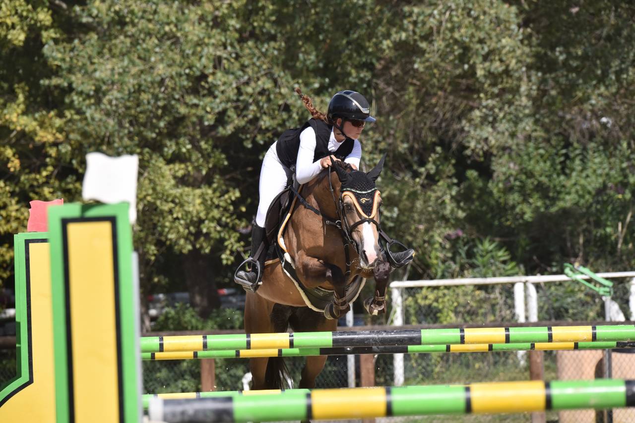 Cavalla PFS Pony Francese da Sella In vendita 2014 Baio