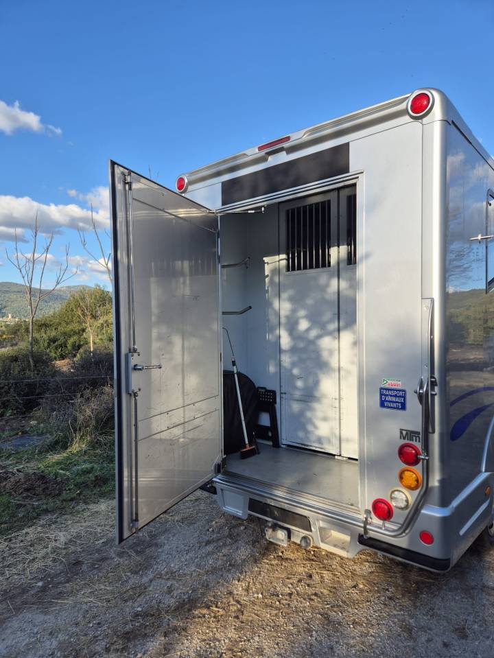 Van per Cavalli MTM Renault master  2016 Occasione