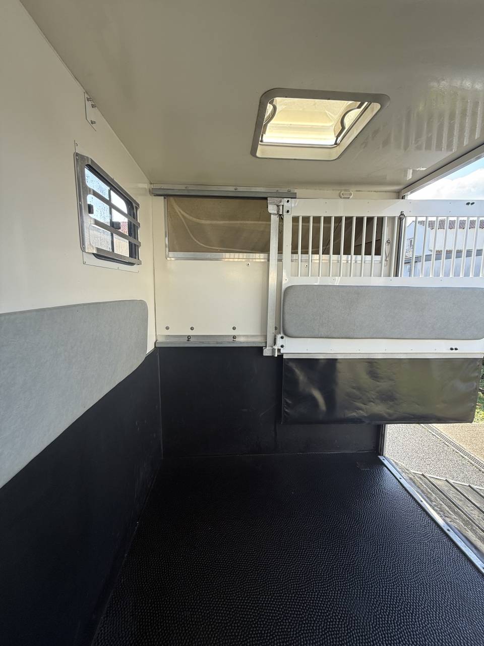 Van per Cavalli Renault LESLY HORSE 2018 Occasione