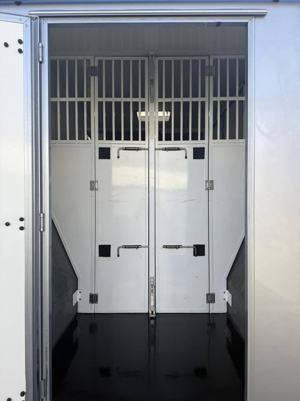 Van per Cavalli Renault LESLY HORSE 2018 Occasione