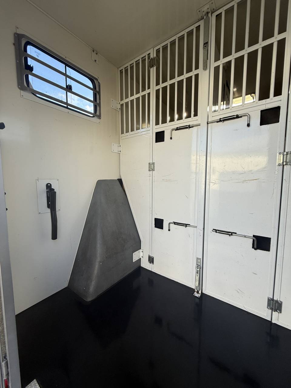 Van per Cavalli Renault LESLY HORSE 2018 Occasione