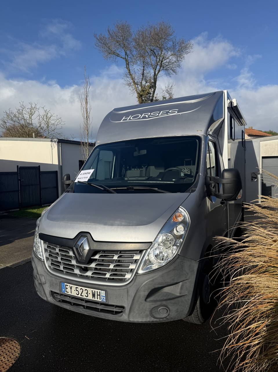 Van per Cavalli Renault LESLY HORSE 2018 Occasione