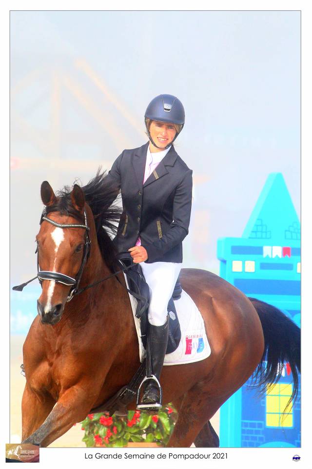 Castrone Sella Francese In vendita 2015 Baio ,  Adzaro de l abbaye