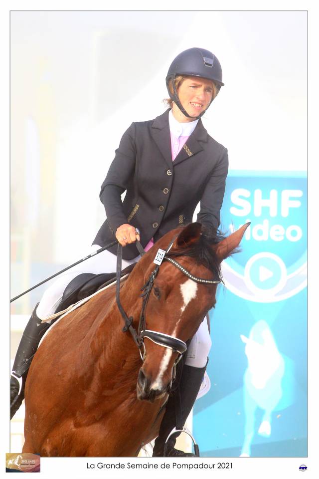 Castrone Sella Francese In vendita 2015 Baio ,  Adzaro de l abbaye