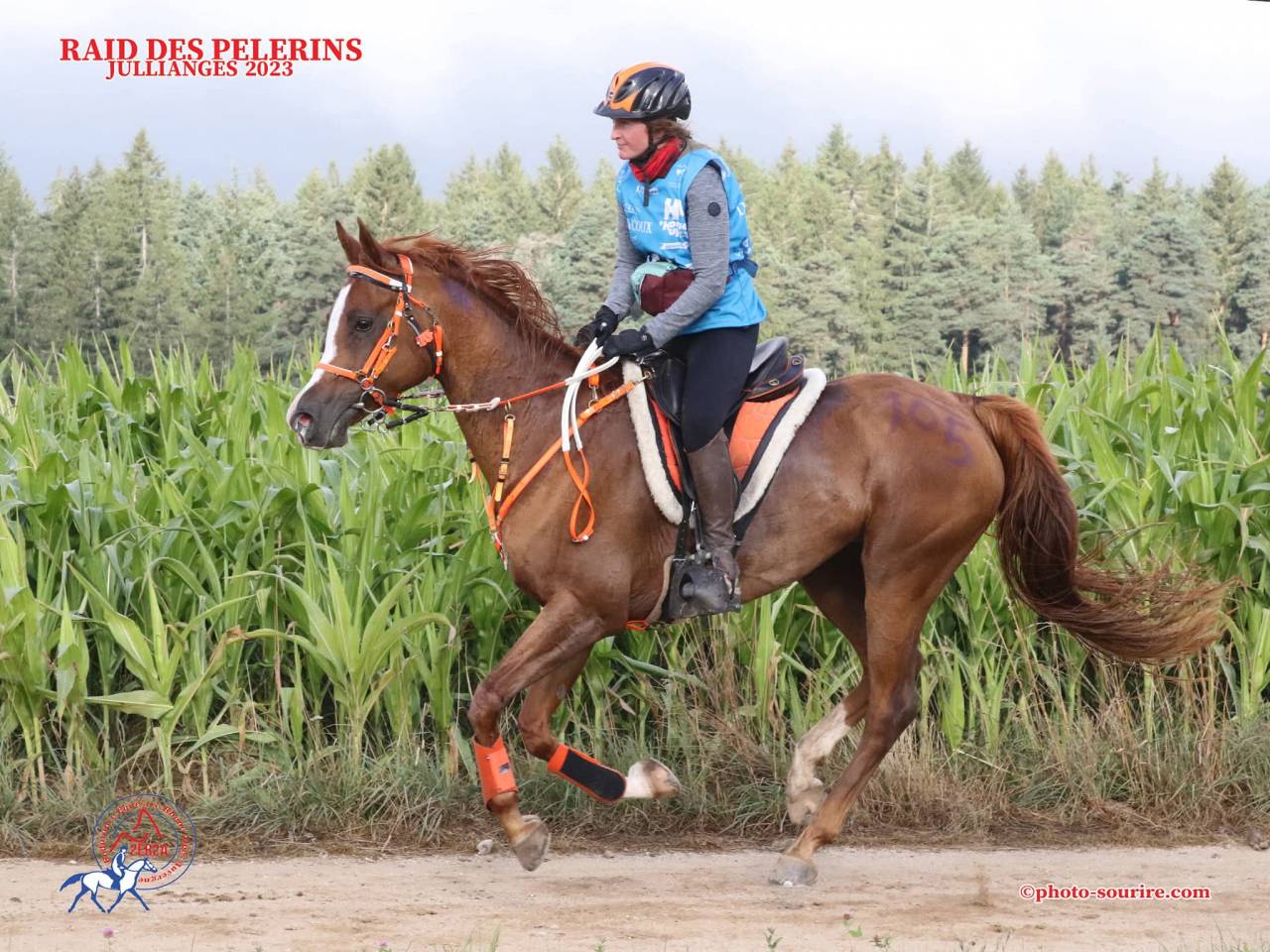 Cavalla Arabo In vendita 2016 Sauro ,  Valmysic de la rotja