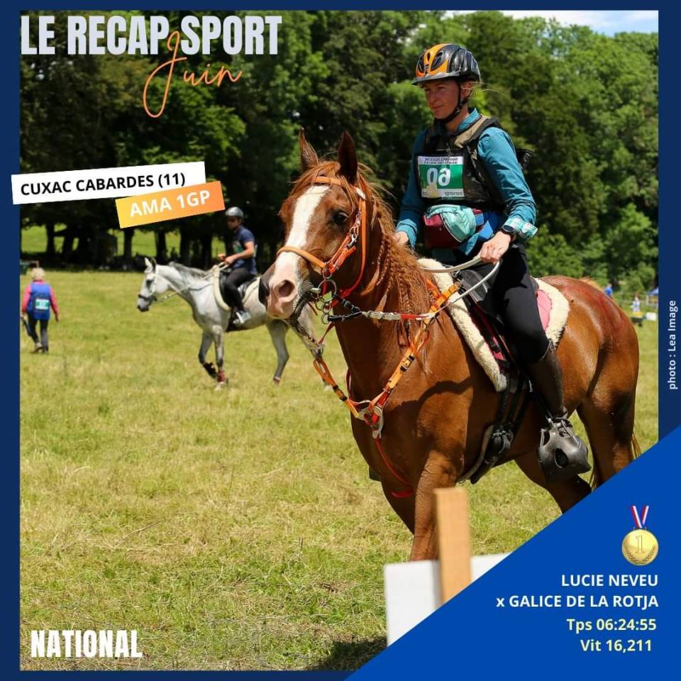 Cavalla Arabo In vendita 2016 Sauro ,  Valmysic de la rotja