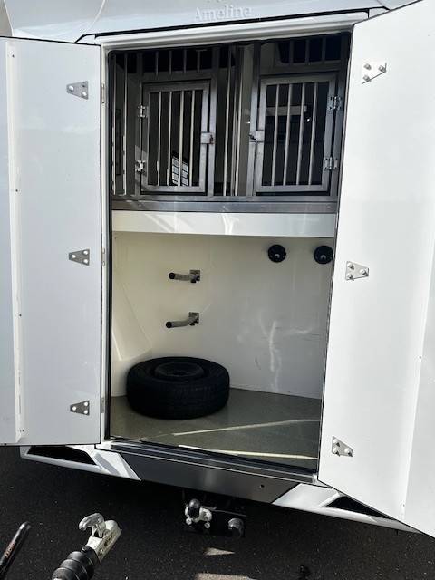 Van per Cavalli Renault  2020 Occasione