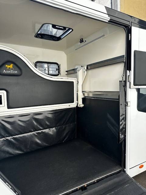 Van per Cavalli Renault  2020 Occasione