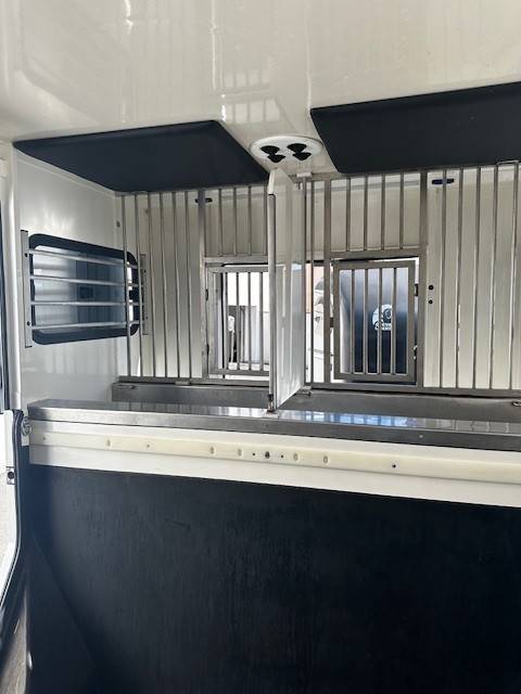 Van per Cavalli Renault  2020 Occasione