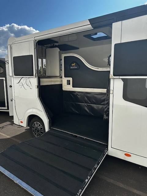 Van per Cavalli Renault  2020 Occasione