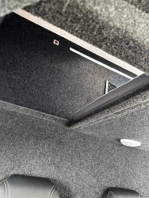 Van per Cavalli Renault  2020 Occasione