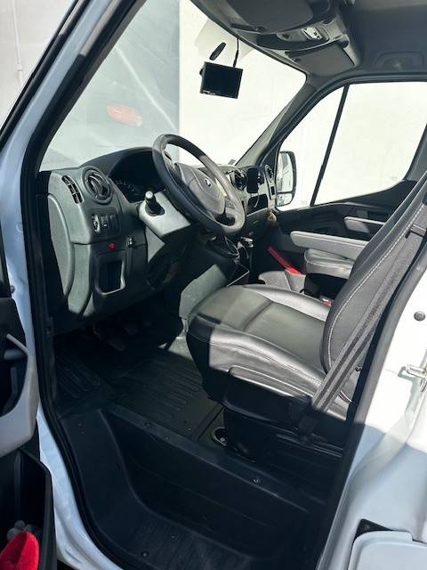 Van per Cavalli Renault  2020 Occasione