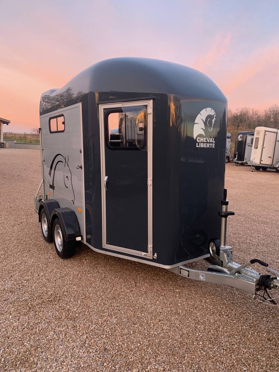 Trailer Cheval Libert&eacute; GOLD 3 2 Cavalli 2021 Occasione