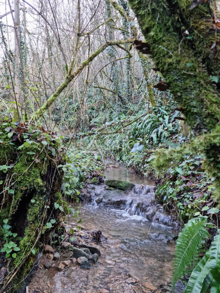 Azienda orticoltrice In vendita Lot