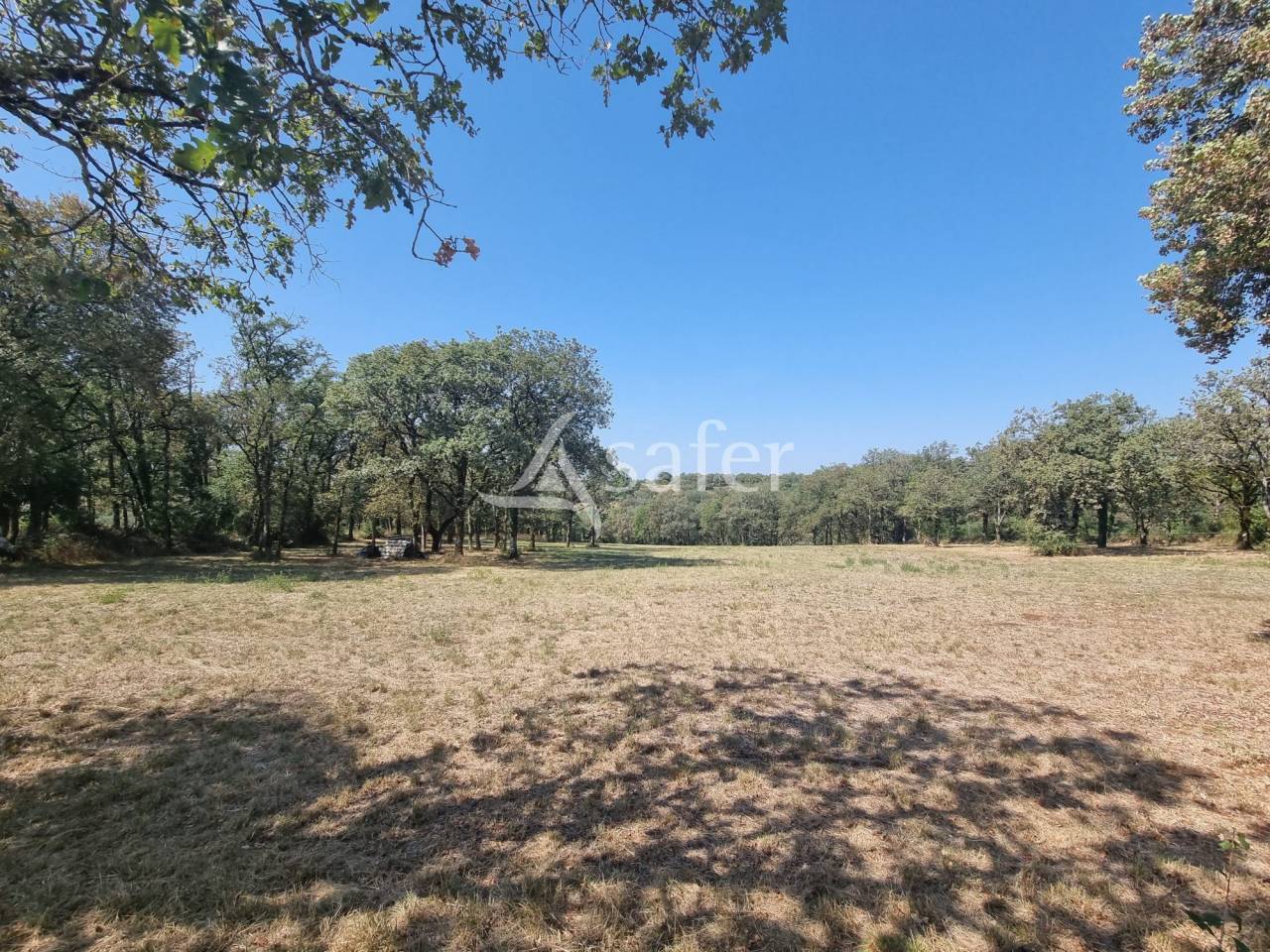 Azienda agricola In vendita Lot