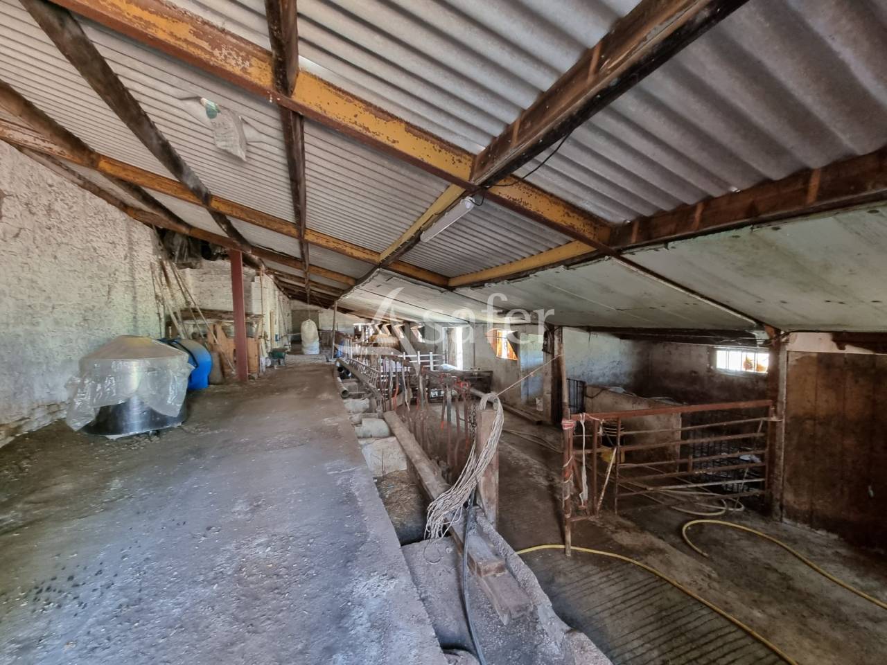 Azienda agricola In vendita Lot