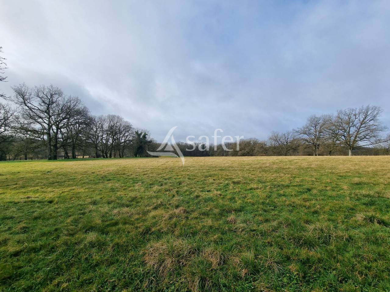 Azienda ovina In vendita Lot