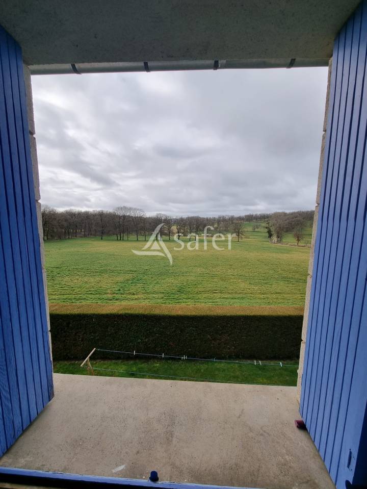 Azienda ovina In vendita Lot