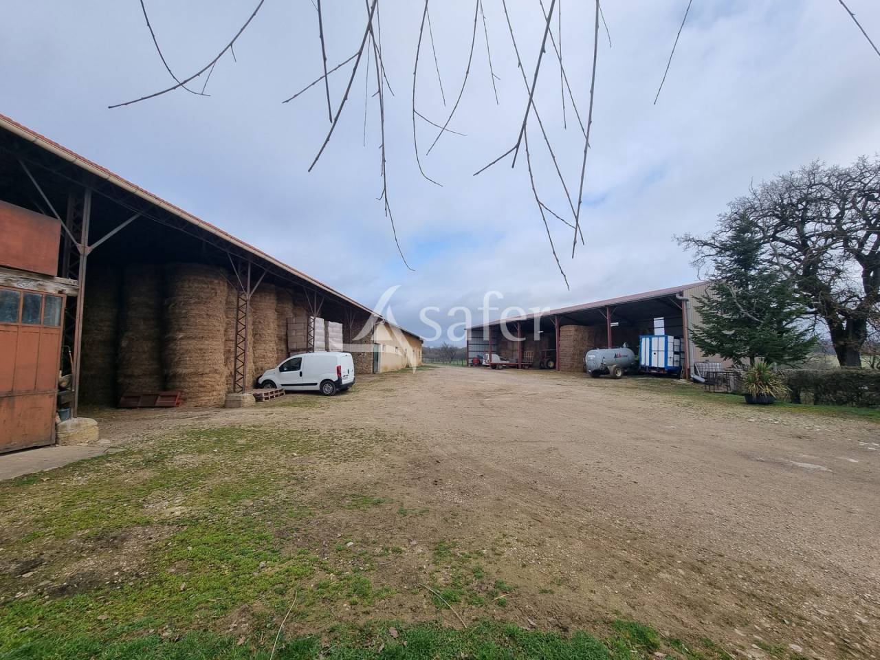 Azienda ovina In vendita Lot