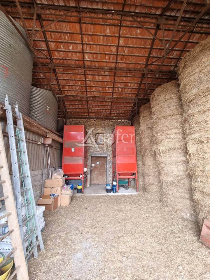 Azienda ovina In vendita Lot