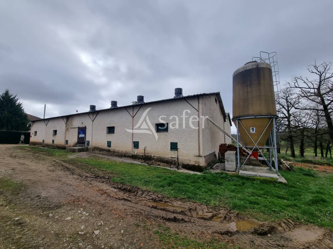 Azienda ovina In vendita Lot