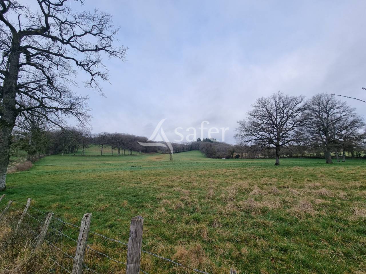 Azienda ovina In vendita Lot