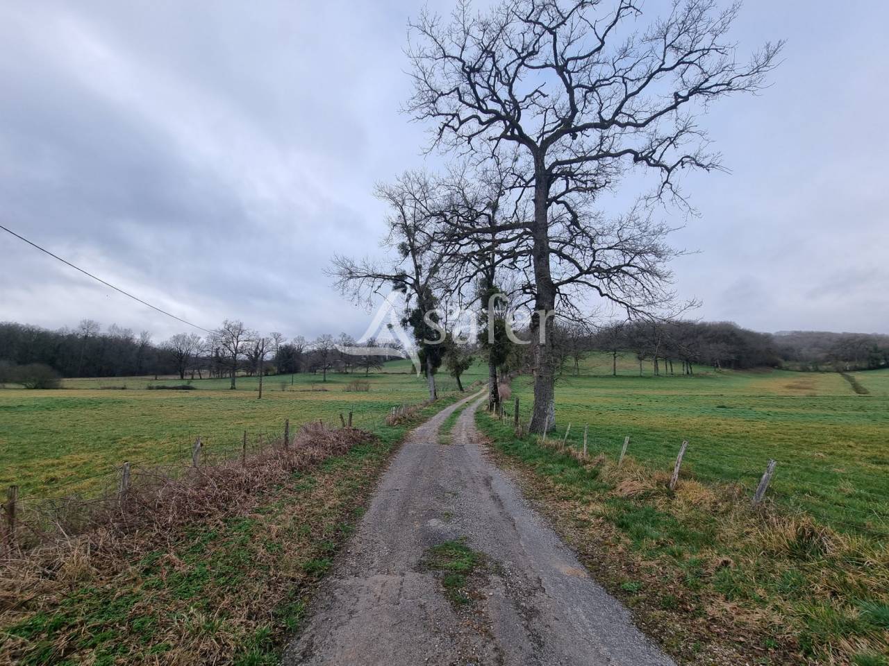 Azienda ovina In vendita Lot