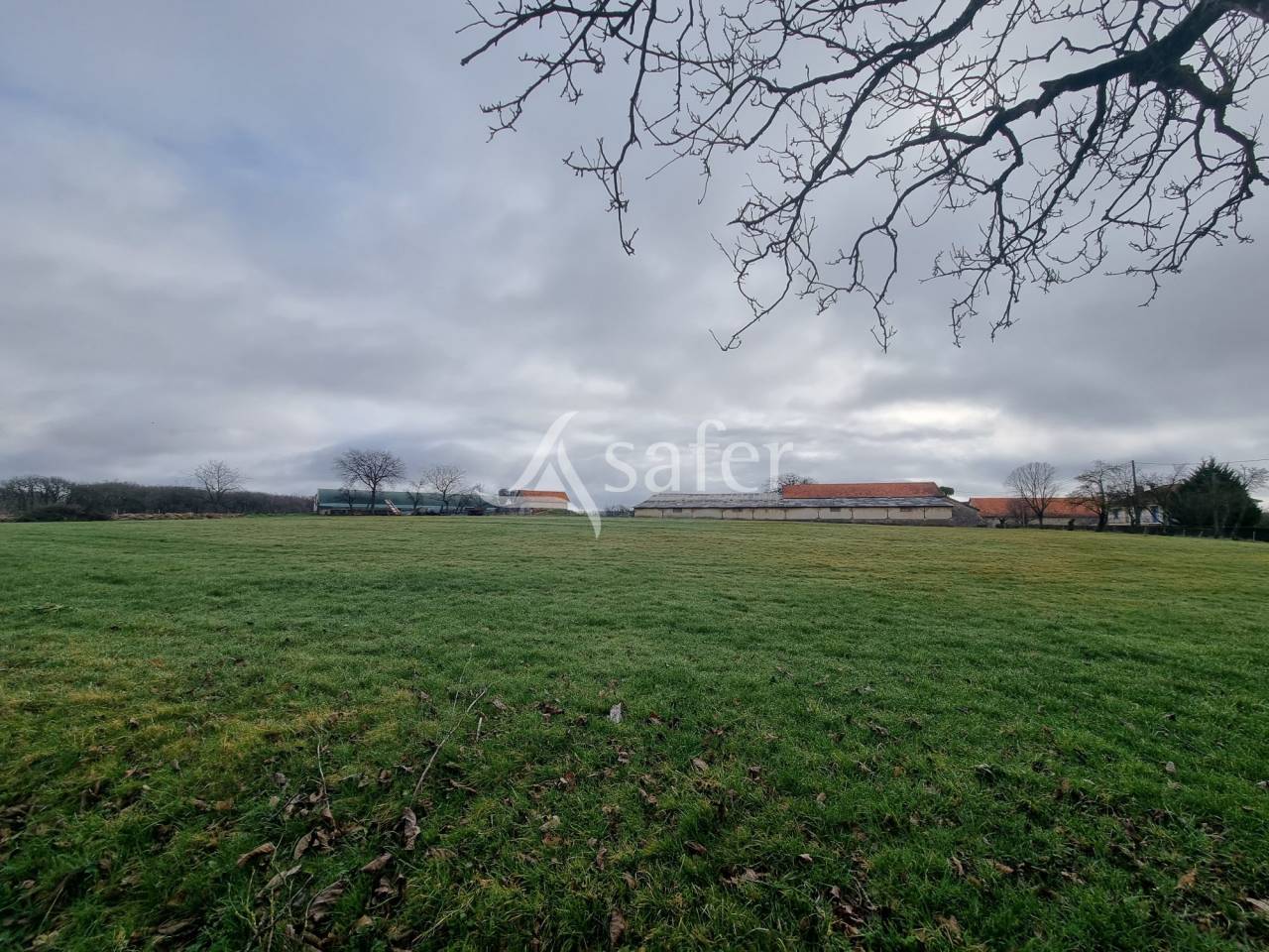 Azienda ovina In vendita Lot