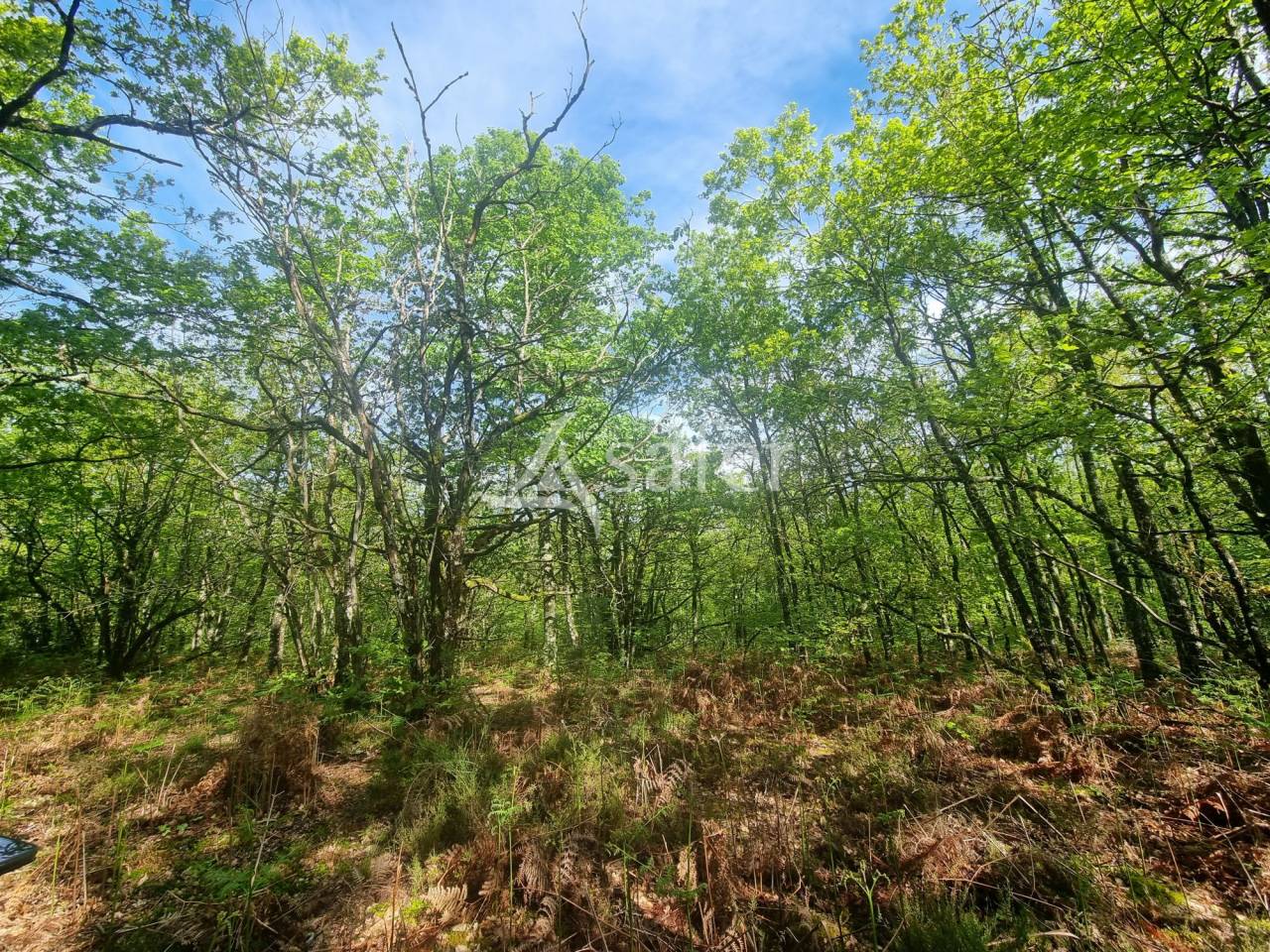 Azienda ovina In vendita Lot