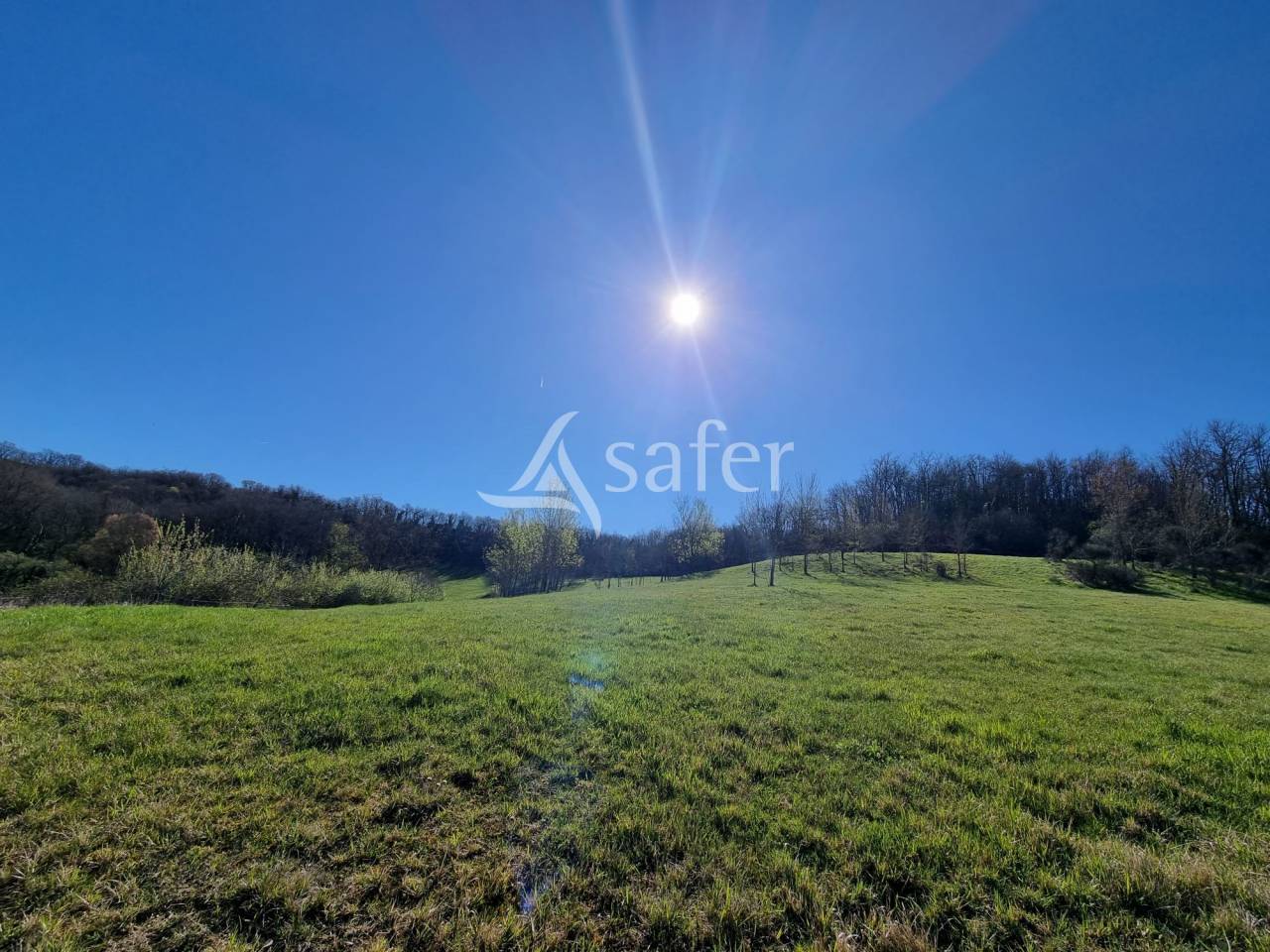 Proprietà rurale In vendita Lot