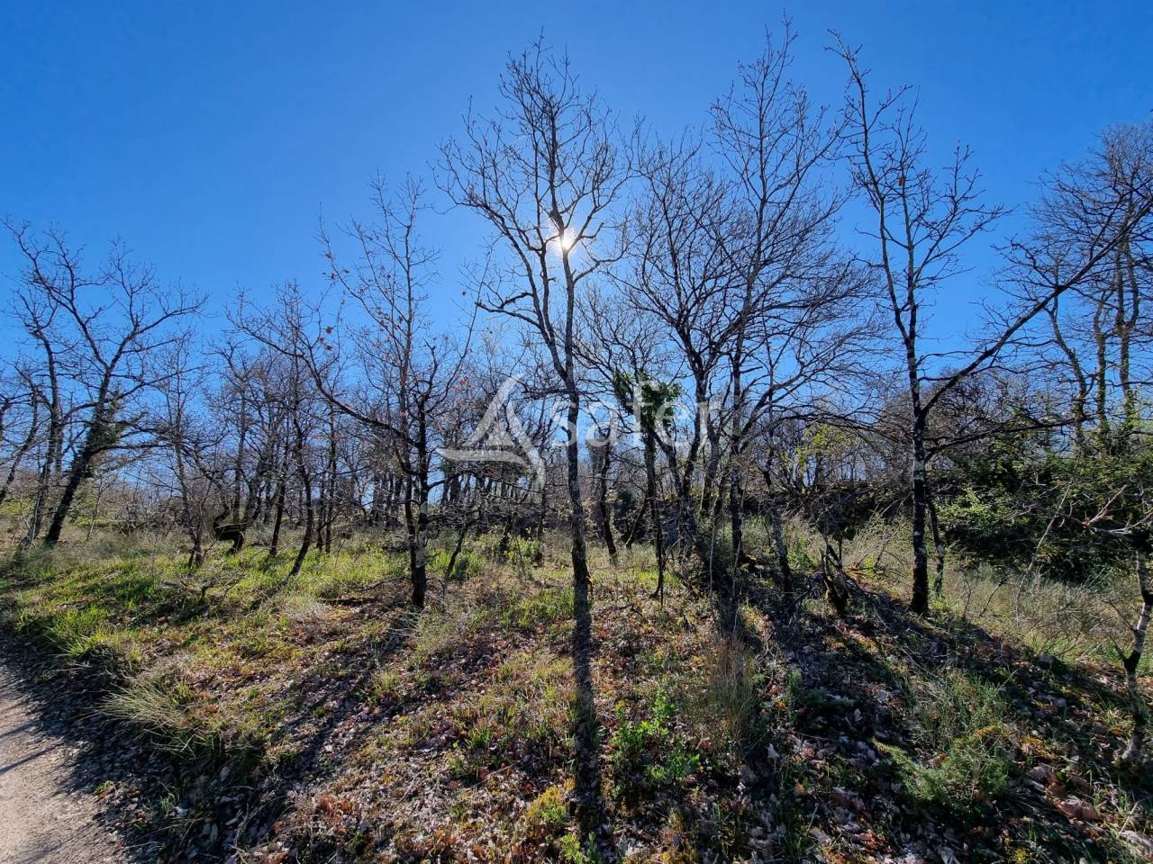 Proprietà rurale In vendita Lot