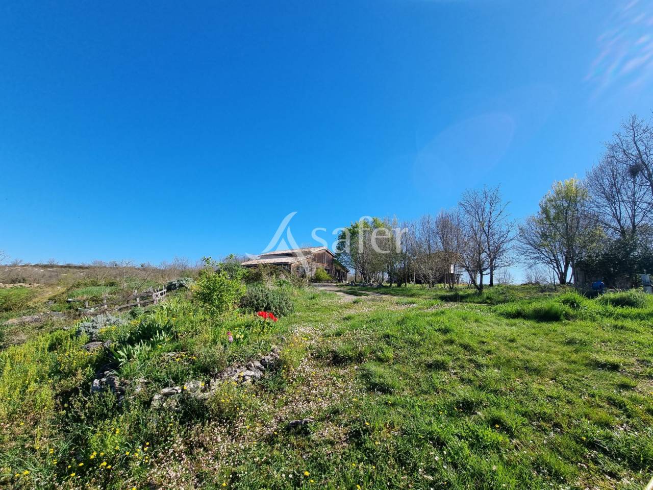 Proprietà rurale In vendita Lot