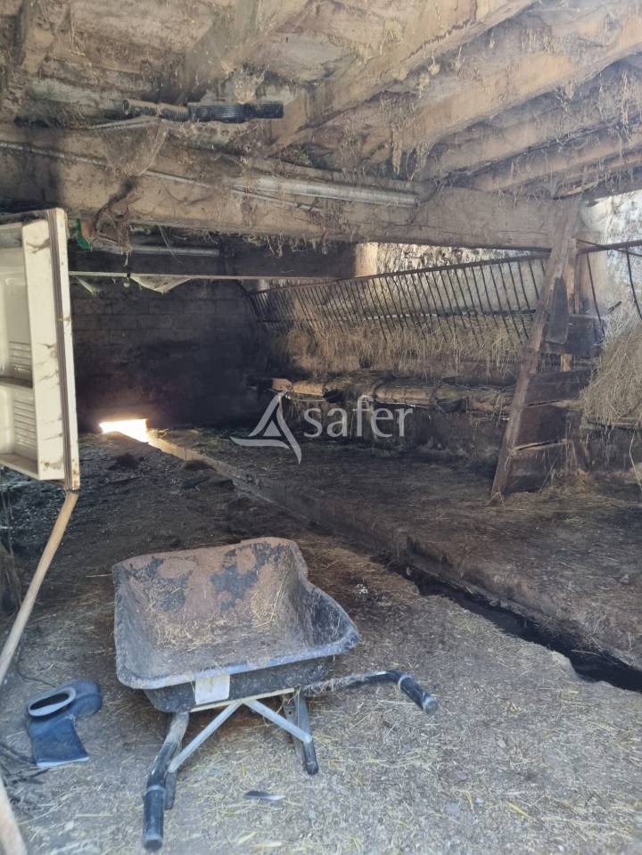 Azienda agricola In vendita Ariège